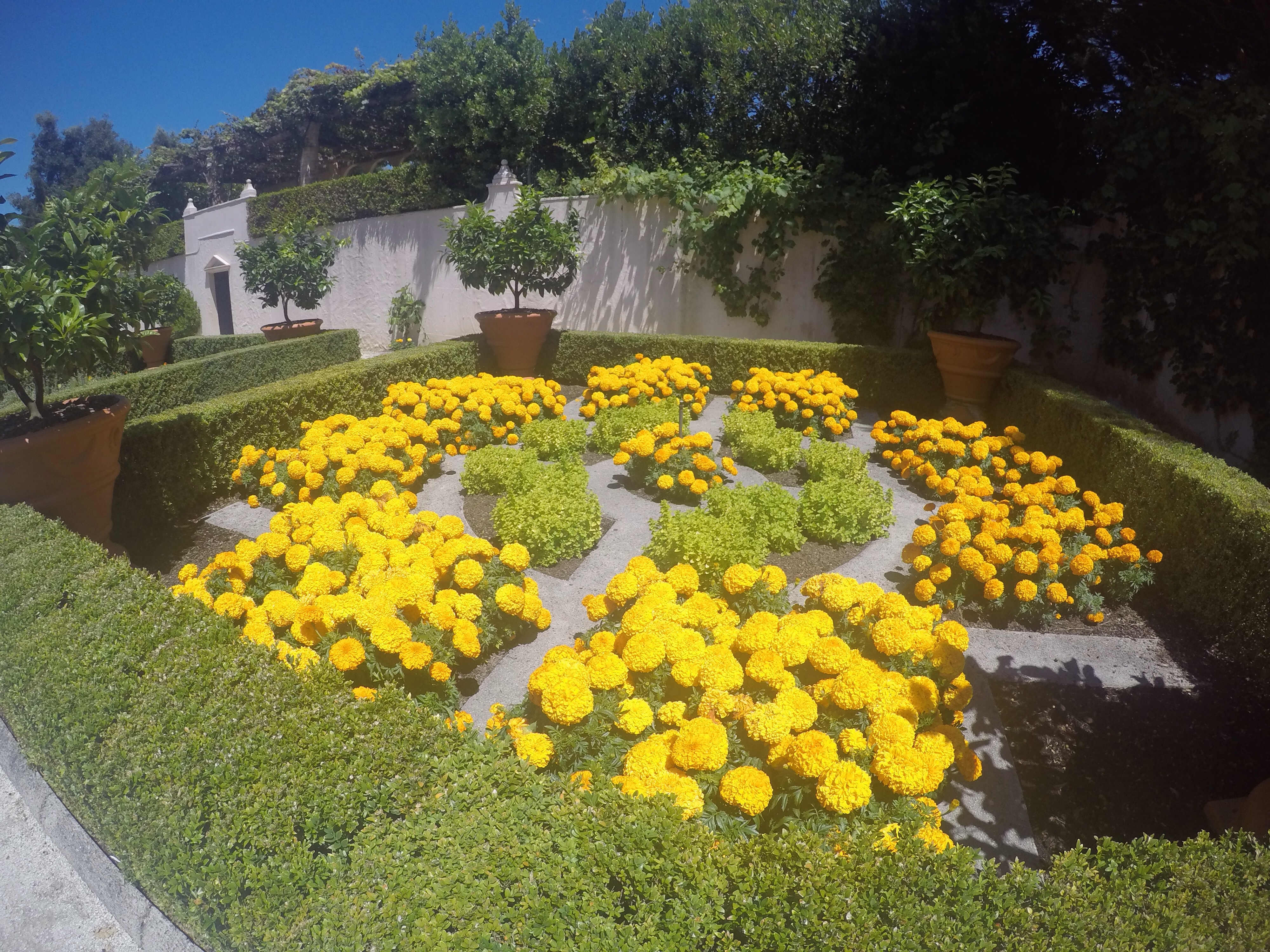 DCIM100GOPROGOPR1084.