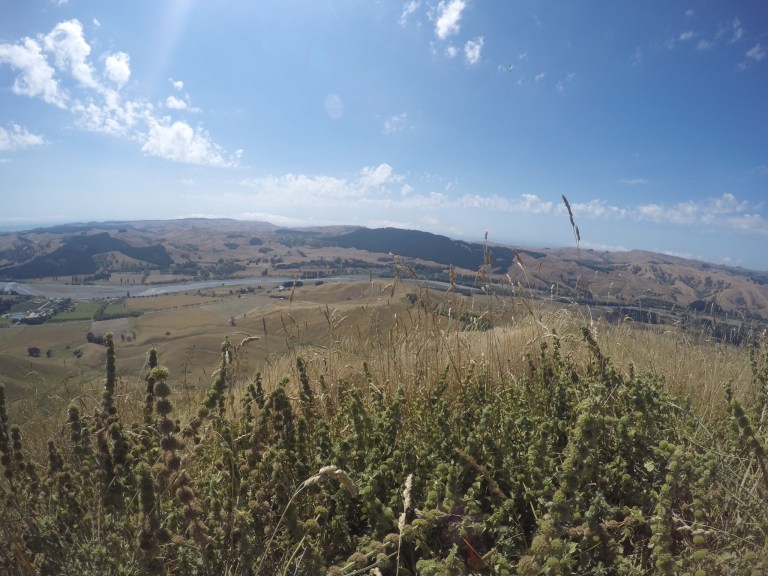 DCIM100GOPROGOPR1208.