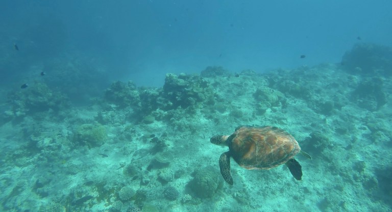 Screen Shot 2016-09-03 at 11.08.05 PM